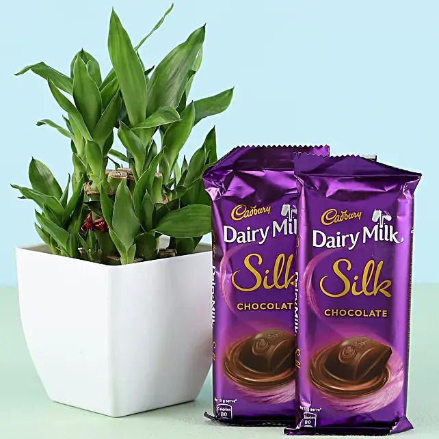 Plant With Silk